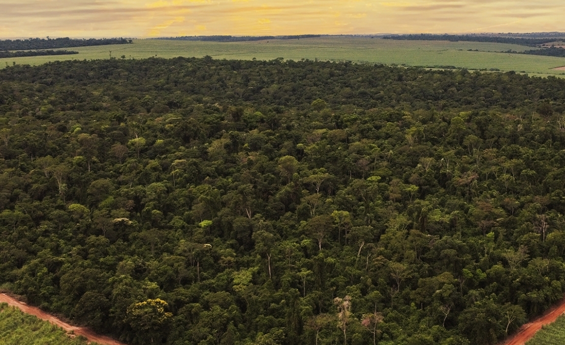 Prefeitura de Guaporema apresenta Reserva Particular do Patrimônio Natural
