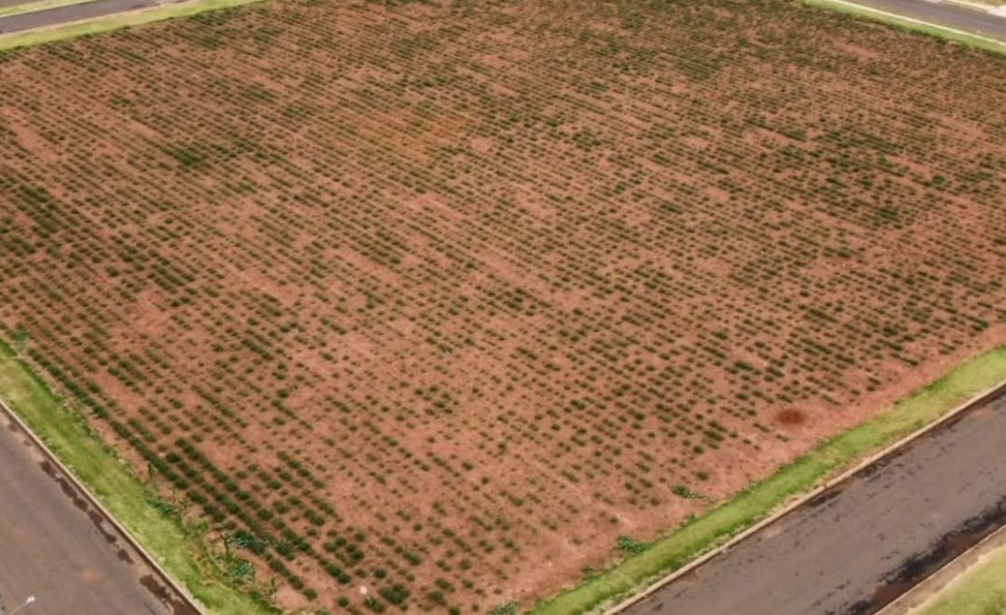 Prefeitura de Guaporema avança na aquisição de terreno para construção de 40 casas 