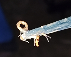 img20250429194749.jpg