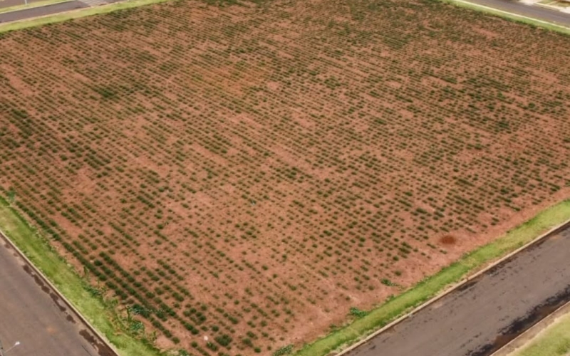 Prefeitura de Guaporema avança na aquisição de terreno para construção de 40 casas 